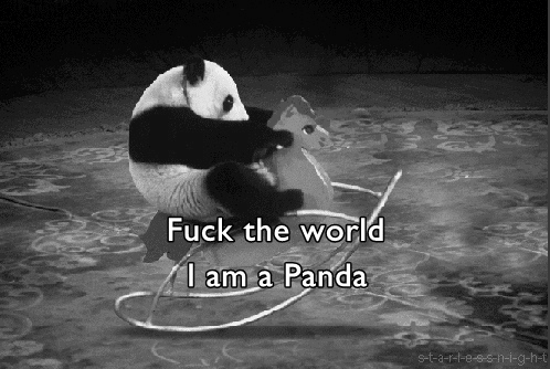 fuck the world, i'm a panda